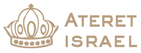 ATERET ISRAEL PRESCHOOL & DAYCARE