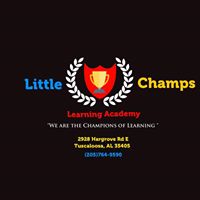 LITTLE CHAMPS LEARNING ACADEMY