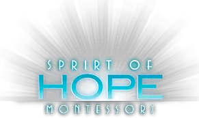 SPIRIT OF HOPE MONTESSORI SCHOOL L L C
