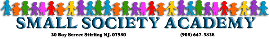 Small Society Academy