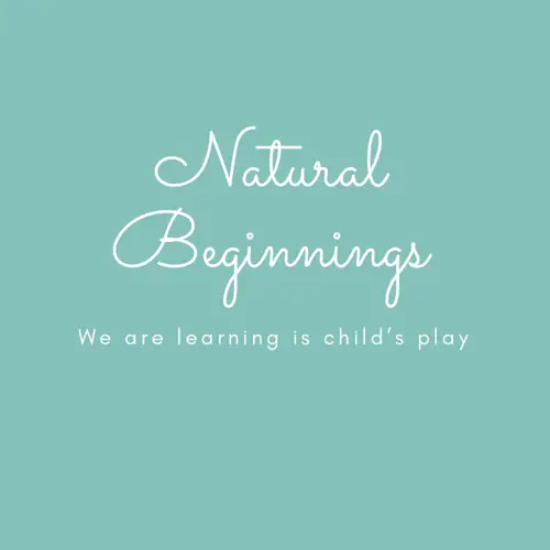 Ambers Natural Beginnings Home Childcare