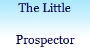 THE LITTLE PROSPECTOR