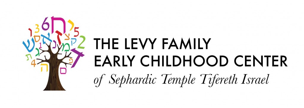 LEVY FAMILY EARLY CHILDHOOD CTR., THE