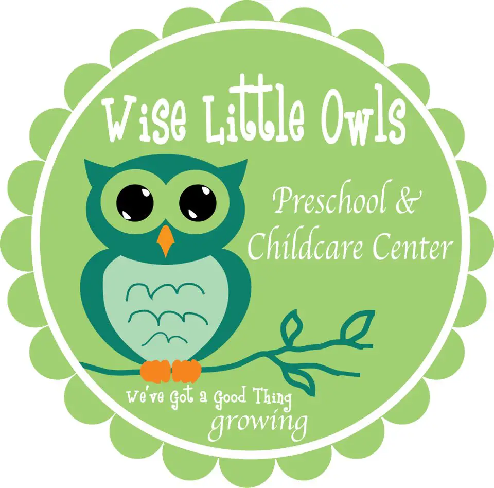 WISE LITTLE OWLS PRESCHOOL & CHILD CARE CENTER, LLC