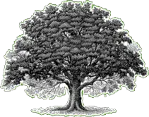 The Giving Tree Montessori School