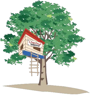 The Chestnut Treehouse III