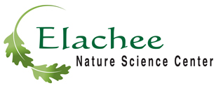 Elachee Nature Science Center- Camp Elachee